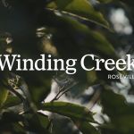 winding creek construction progress video | Winding Creek | New Homes in Roseville, CA | Anthem Properties